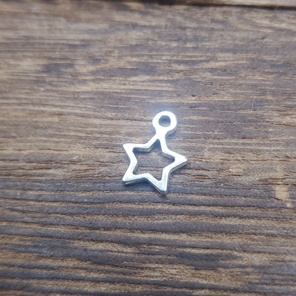 P110β - Picture 2 of 2